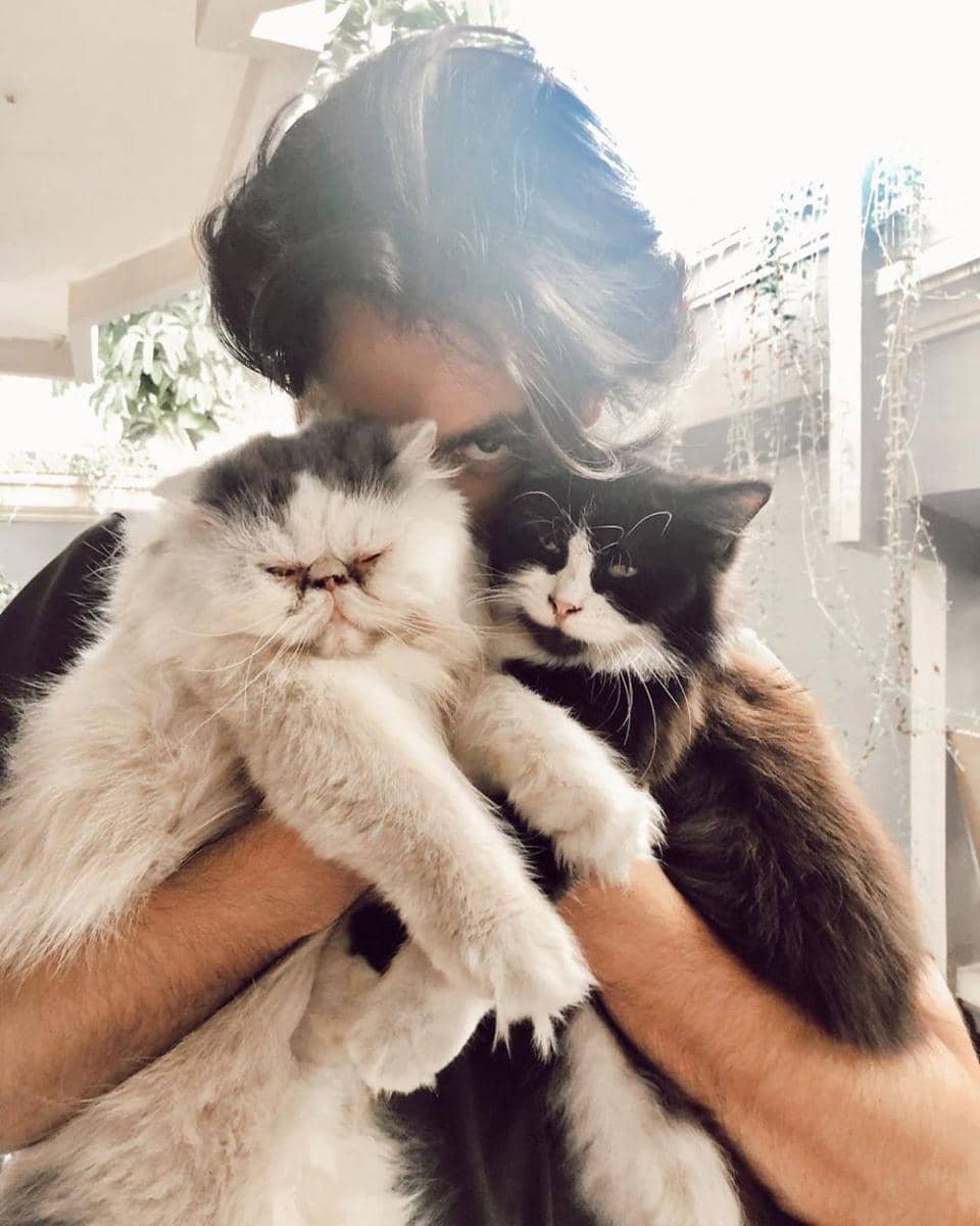 Instagram.com/omardaniel_