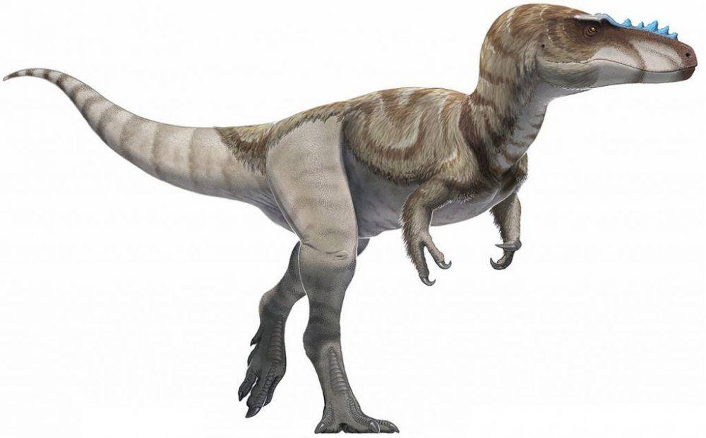 dinosaurioss.com