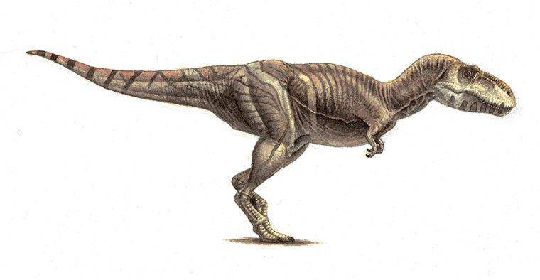 dinosaurpictures.org