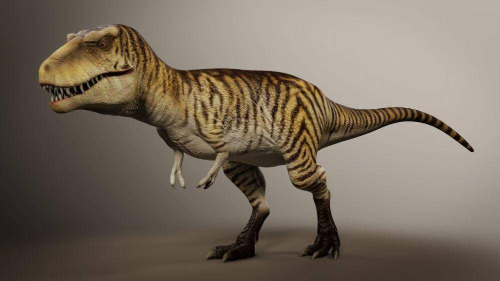 prehistoricfury.com