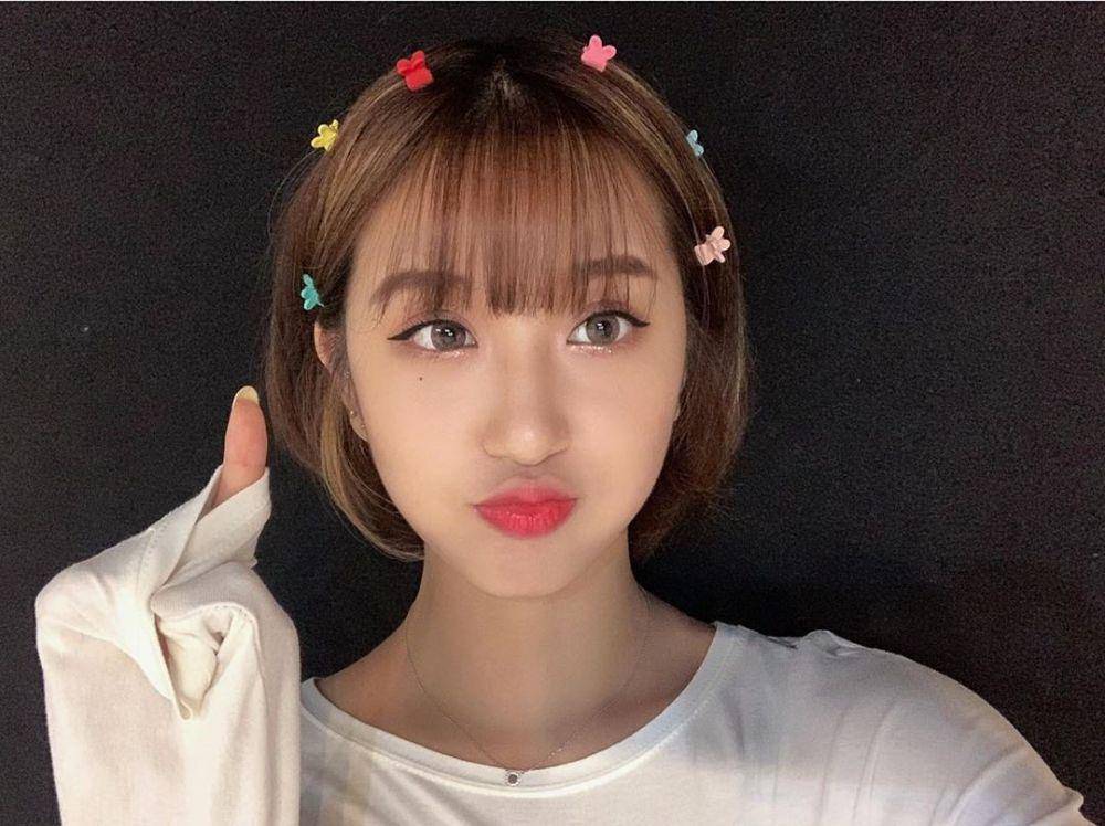 instagram.com/areal_official