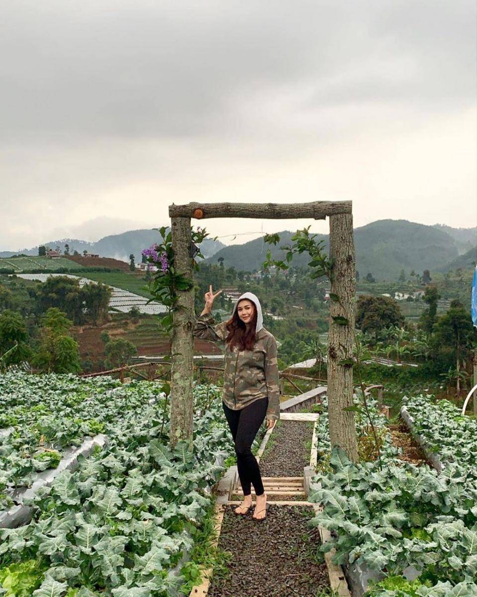 instagram.com/aurakasih