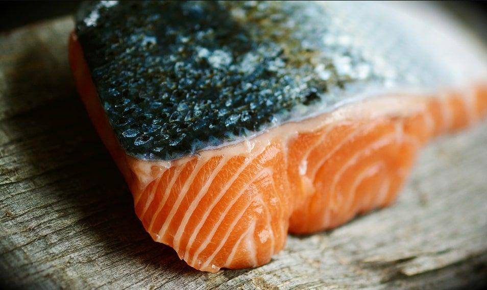 ilustrasi ikan salmon (pixabay.com/congerdesign)