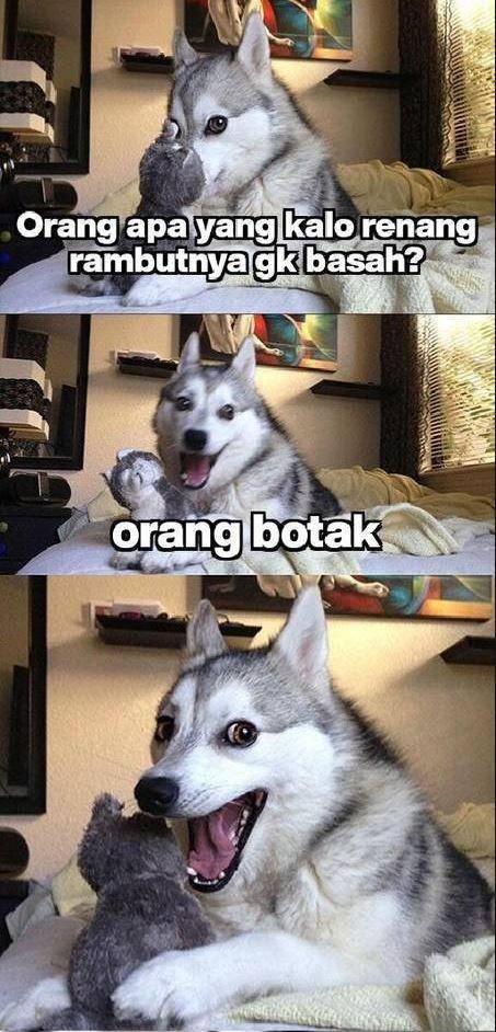 1cak.com