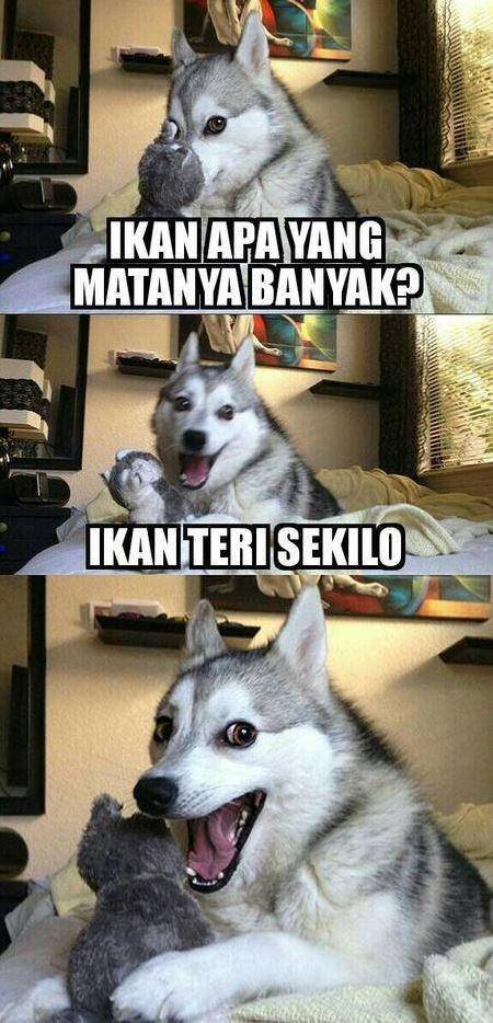 1cak.com