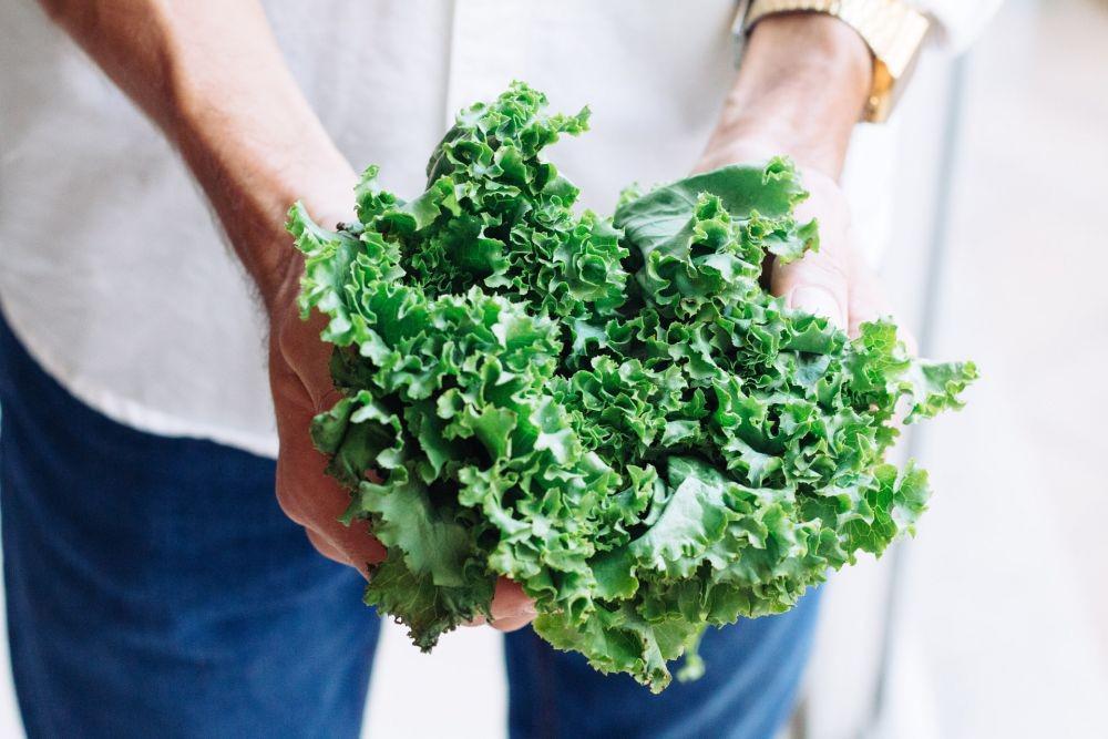 Menurunkan Kolesterol hingga Mencegah Kanker! Ini 5 Manfaat Sayur Kale