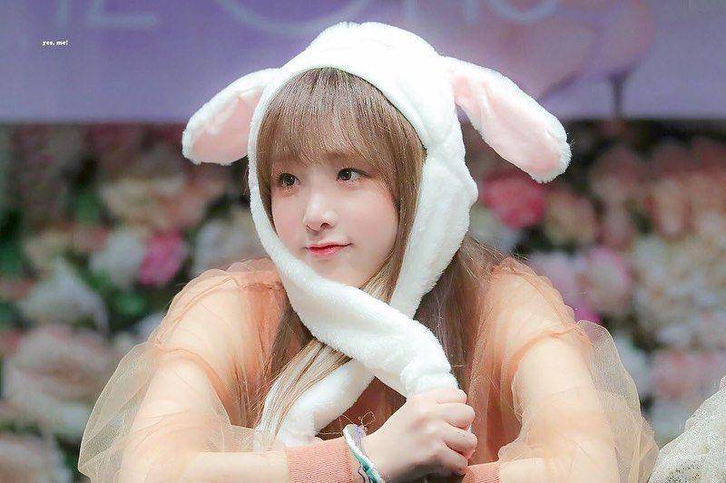 instagram.com/yena.ducky