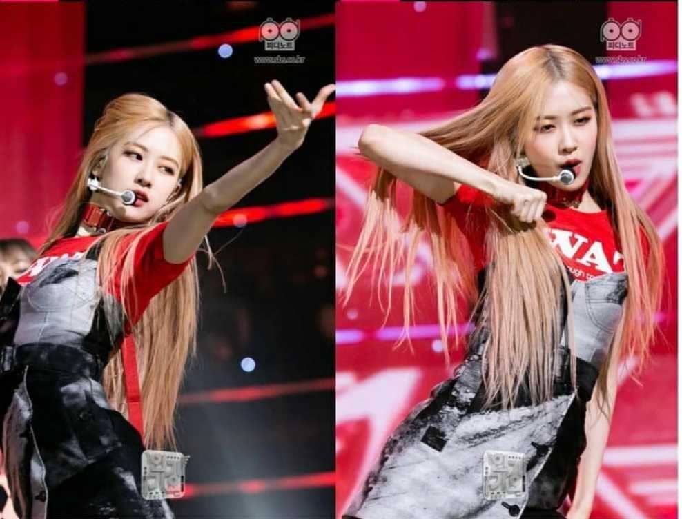 Instagram.com/rosepetals.bp