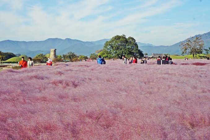 gyeongju.go.kr