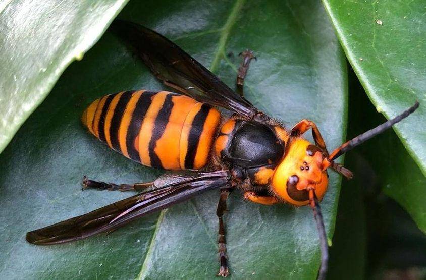 dailyhive.com