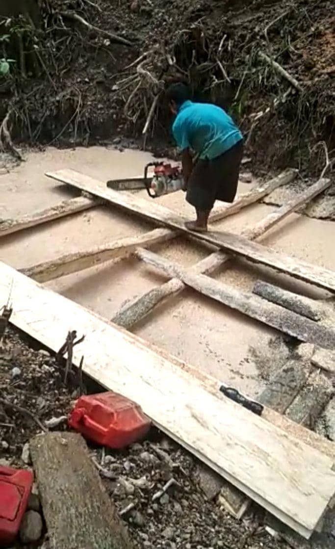 Penebangan kayu yang tak miliki izin dari Dinas Kehutanan Sumut (Dok. Istimewa)