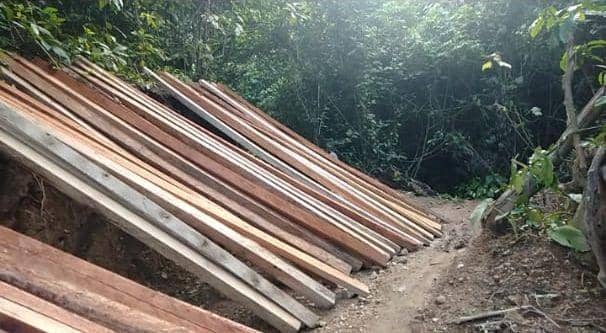 Penebangan kayu yang tak miliki izin dari Dinas Kehutanan Sumut (Dok. Istimewa)