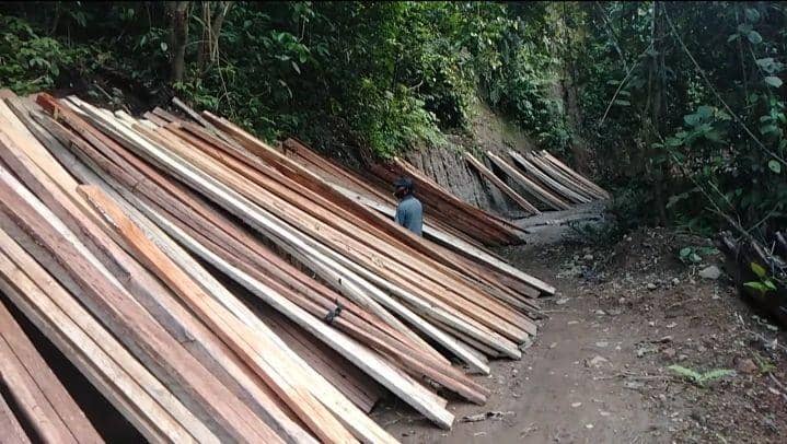 Dinas Kehutanan Selidiki Penebangan Hutan di Desa Bersejarah