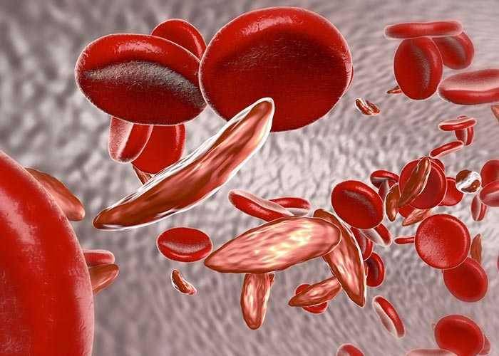 stanfordbloodcenter.org