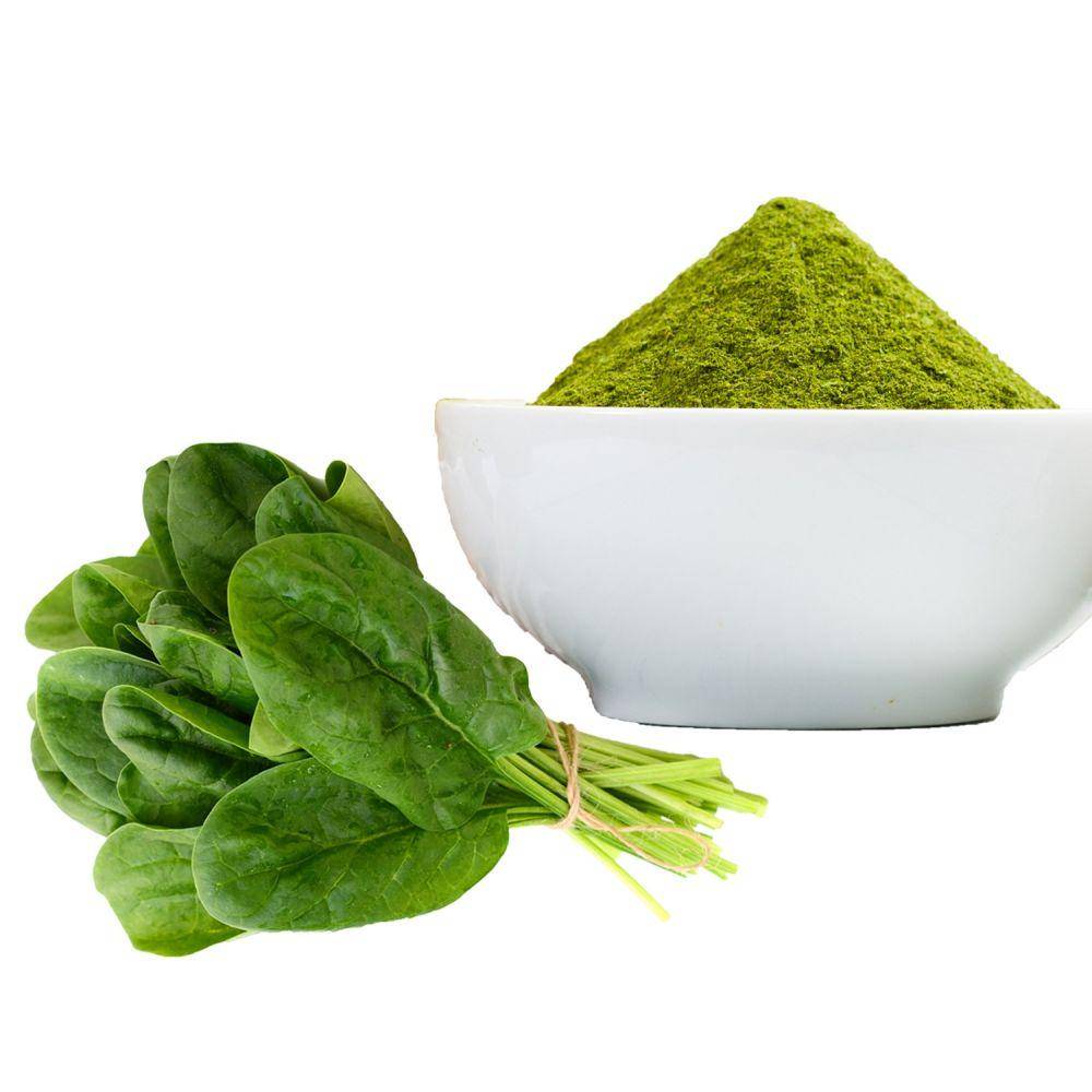 shudhantaherbal.com