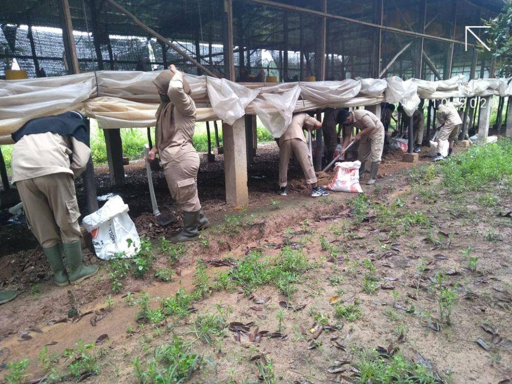 Kegiatan Praktik Siswa SMKPPN Sembawa/Dok. Pusdik Kementan