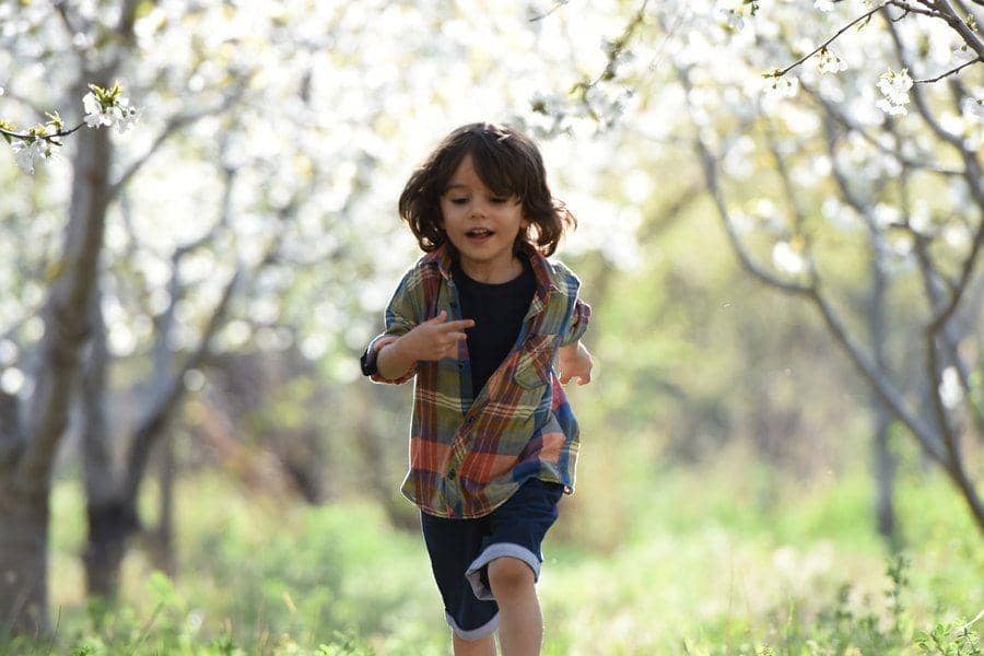 pexels.com/@jonas-mohamadi-621232