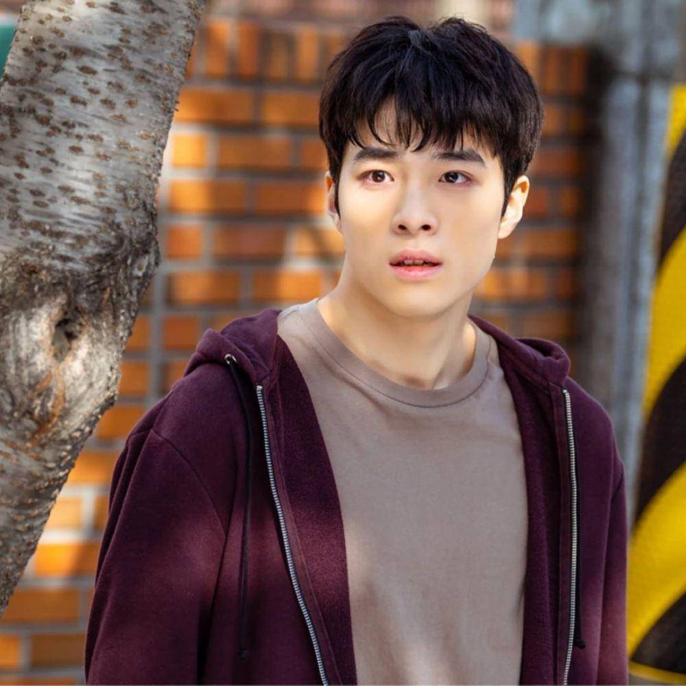 dok. tvN