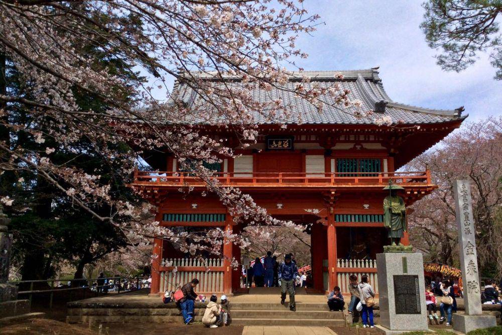 en.japantravel.com