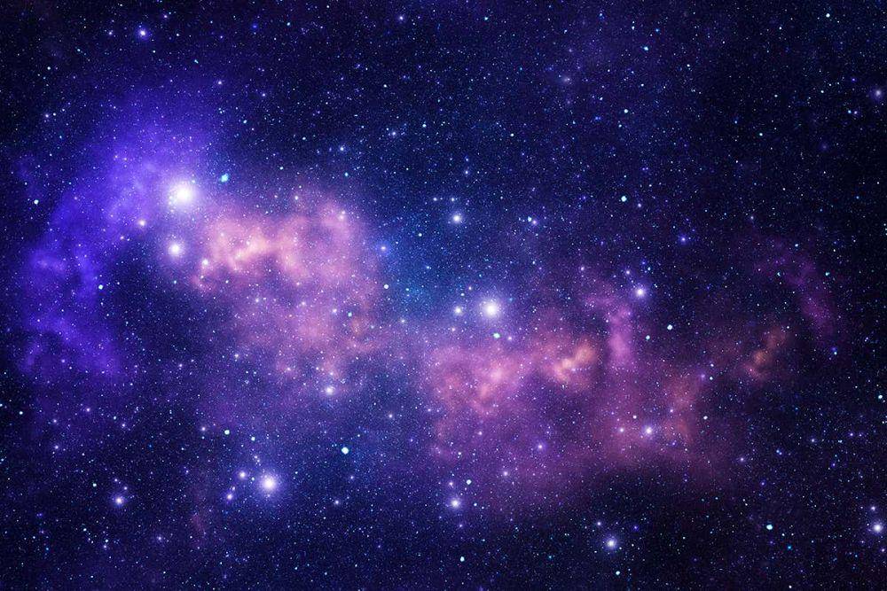 newscientist.com