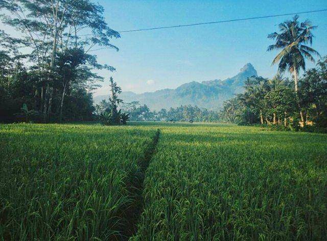 instagram.com/_muhammadjack