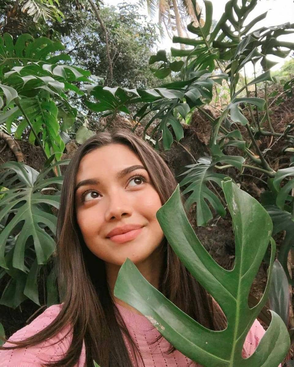 instagram.com/angelagilsha