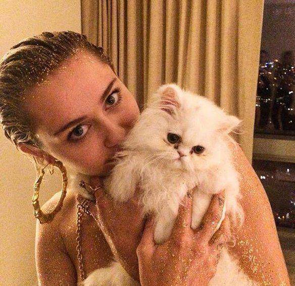 celebritypets.net