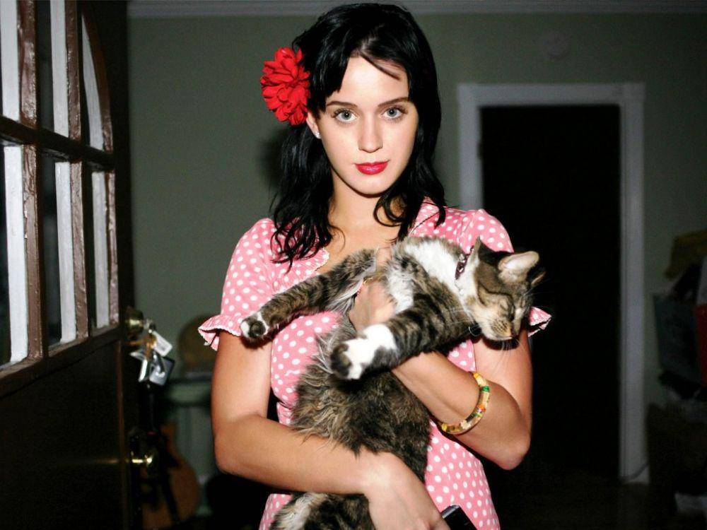 katyperry.fandom.com
