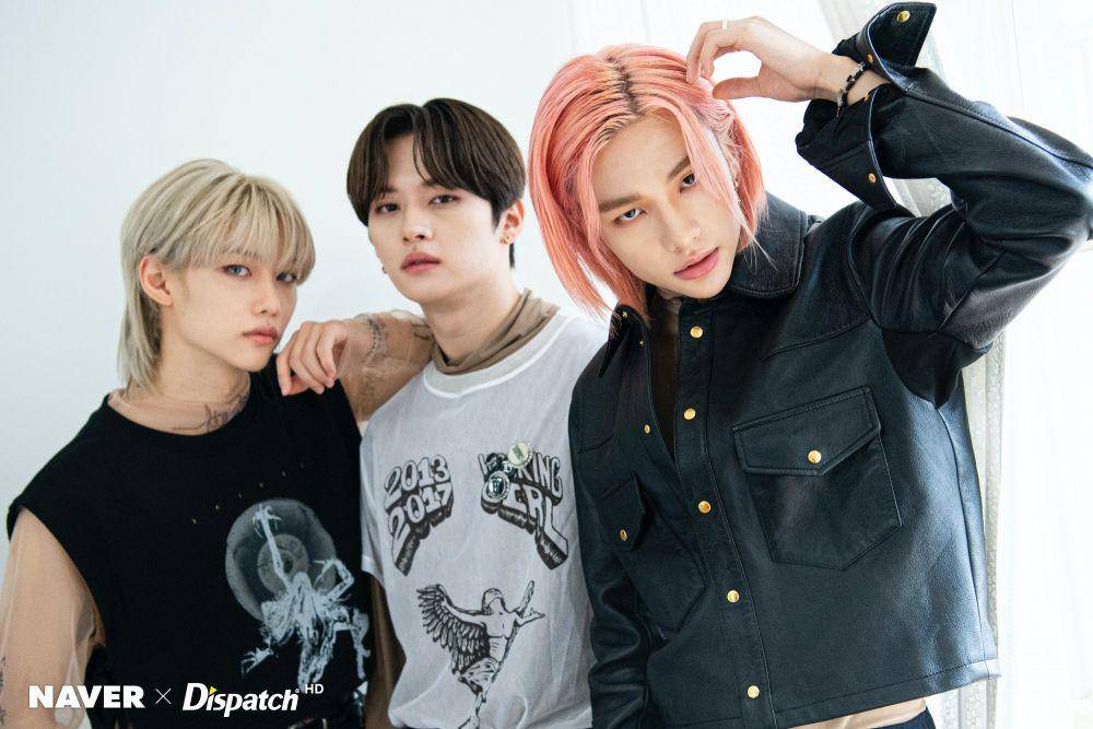 Twitter.com/StrayKidsBrasil