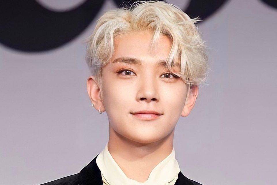 Instagram.com/svtjoshong