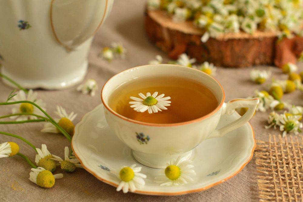 Teh chamomile (pixabay/congerdesign)