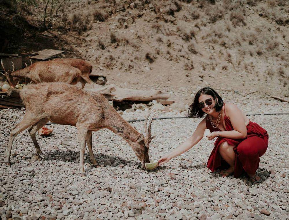 instagram.com/fotograferlabuanbajo