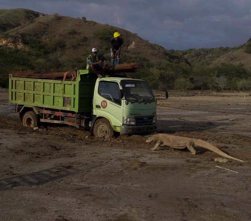 Pembangunan Jurassic Park di Pulau Hinca (Twitter @KawanBaikKomodo)