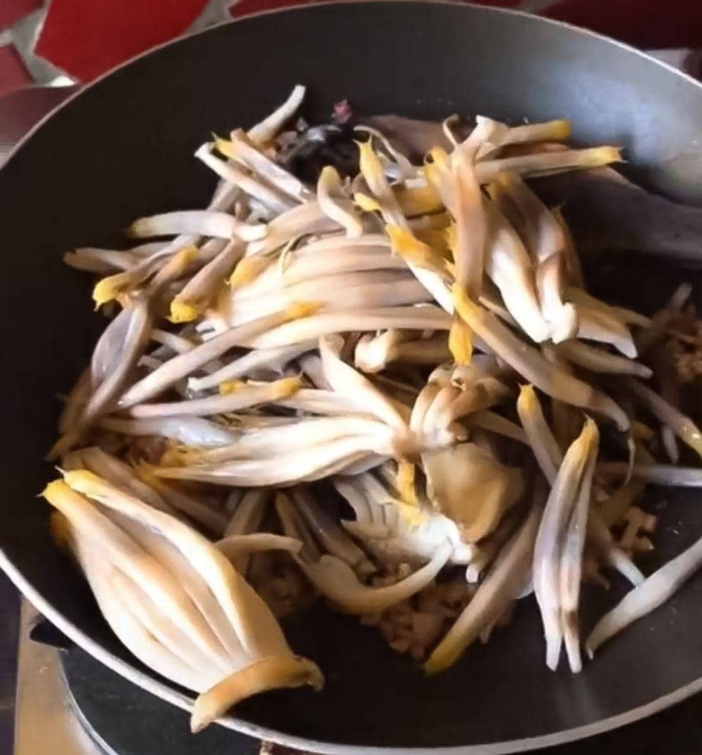 tiktok.com/serat_ketjil