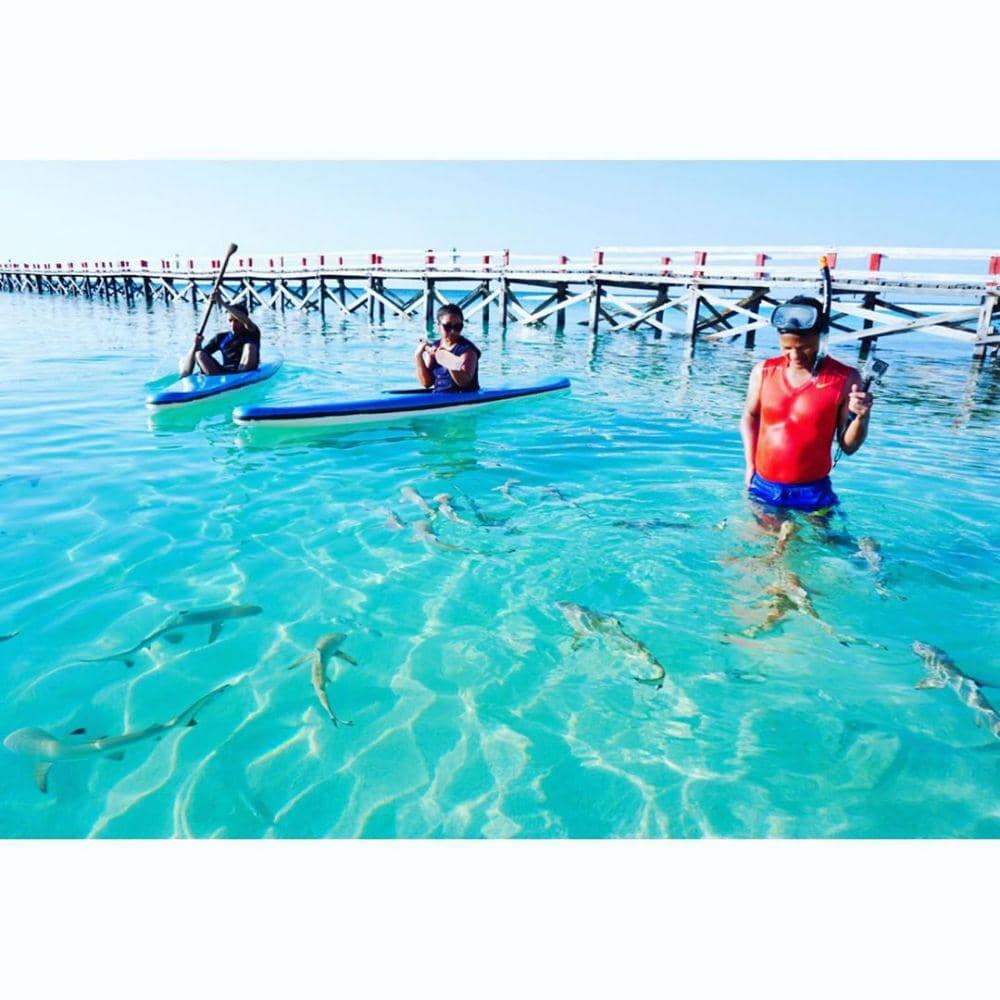 instagram/baimwidjaja