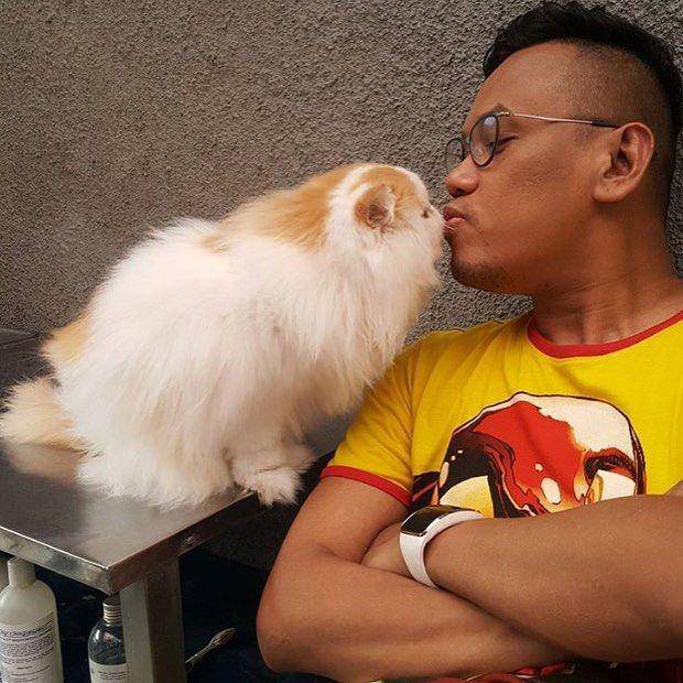 instagram.com/uyakuya_cattery