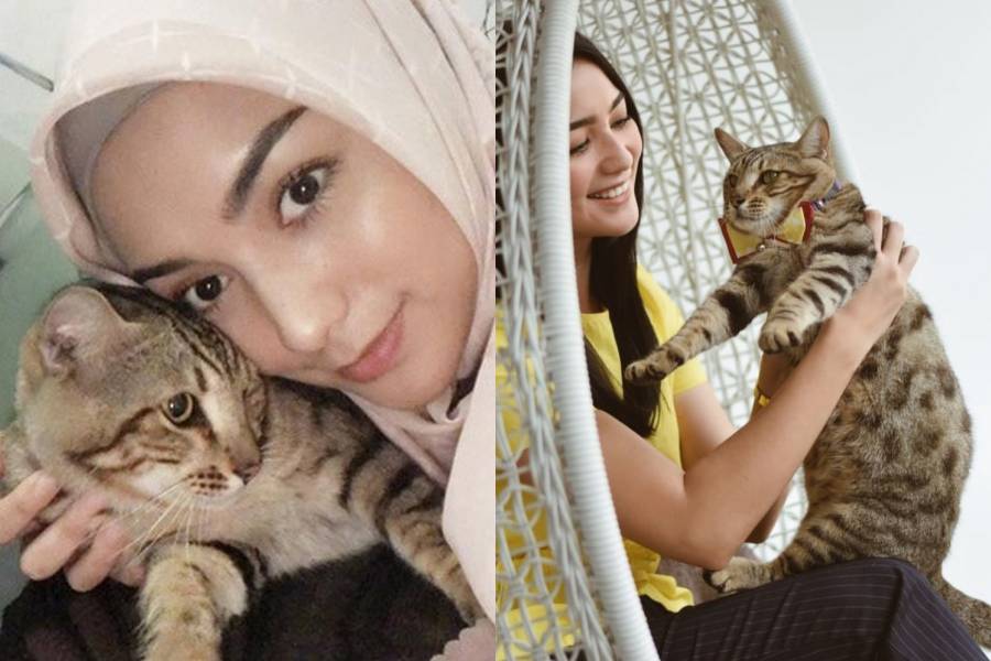 instagram.com/citraciki