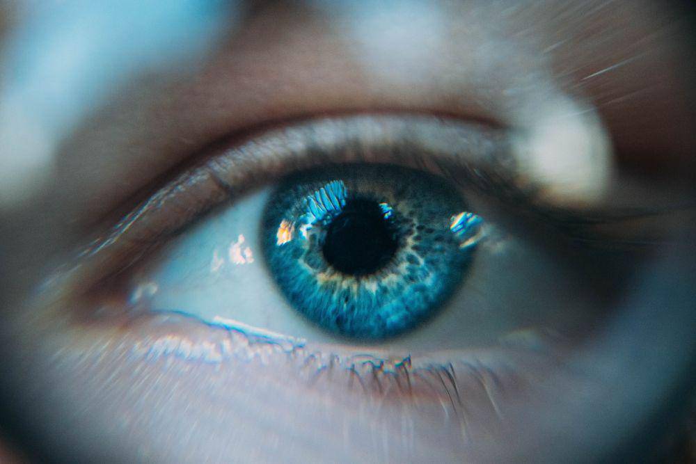 unsplash.com/daniil kuželev