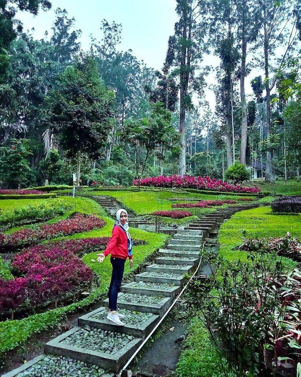 Kebun Raya Baturaden (instagram.com/novileoni)