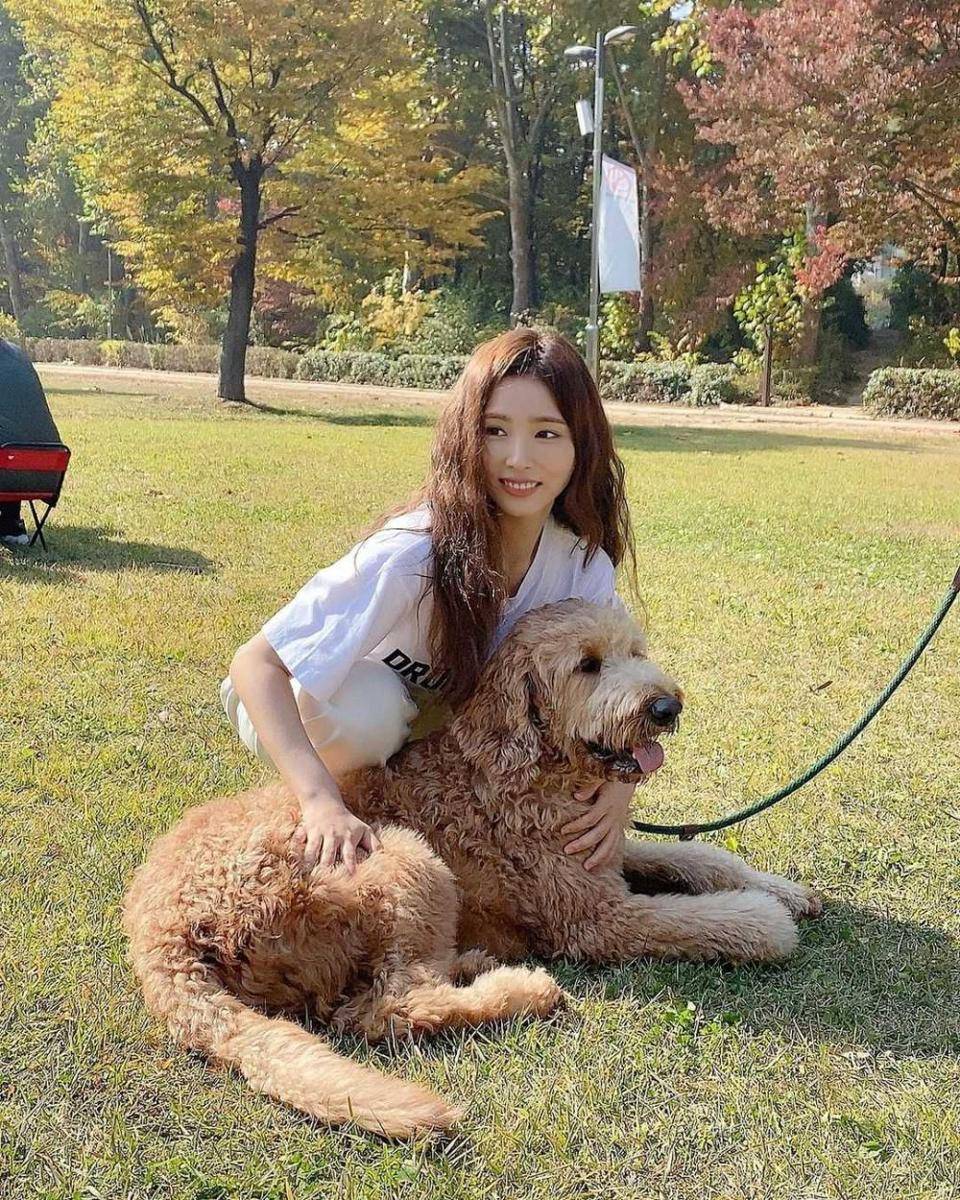 instagram.com/sjkuksee