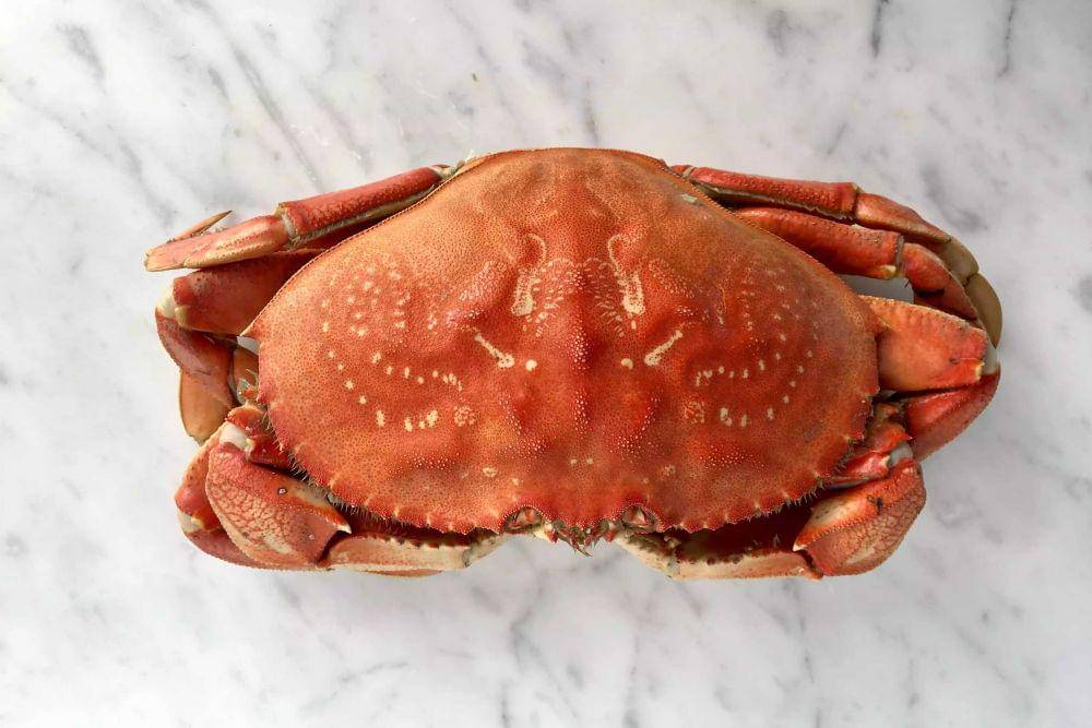 thespruceeats.com