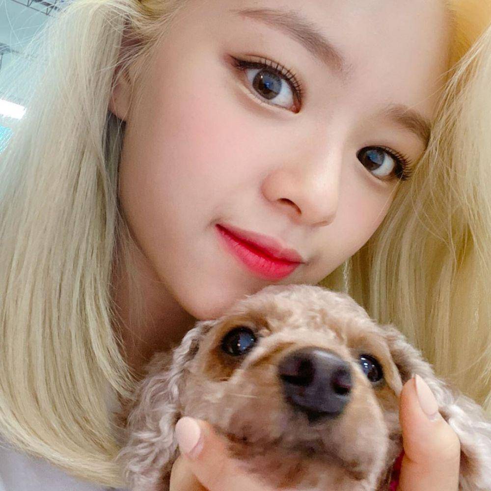 instagram.com/twicetagram