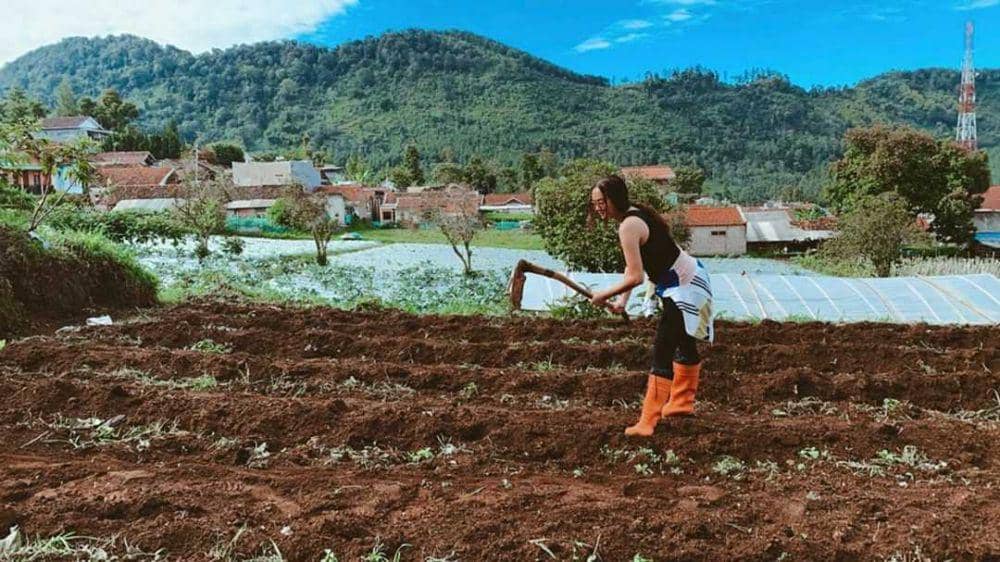 instagram.com/aurakasih