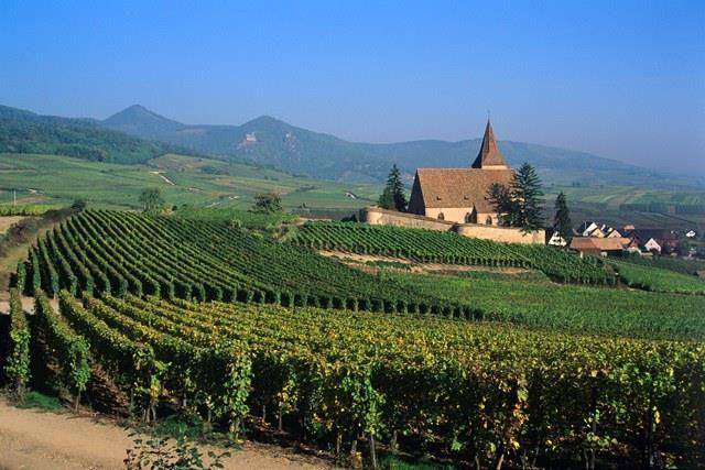 ribeauville-riquewihr.com