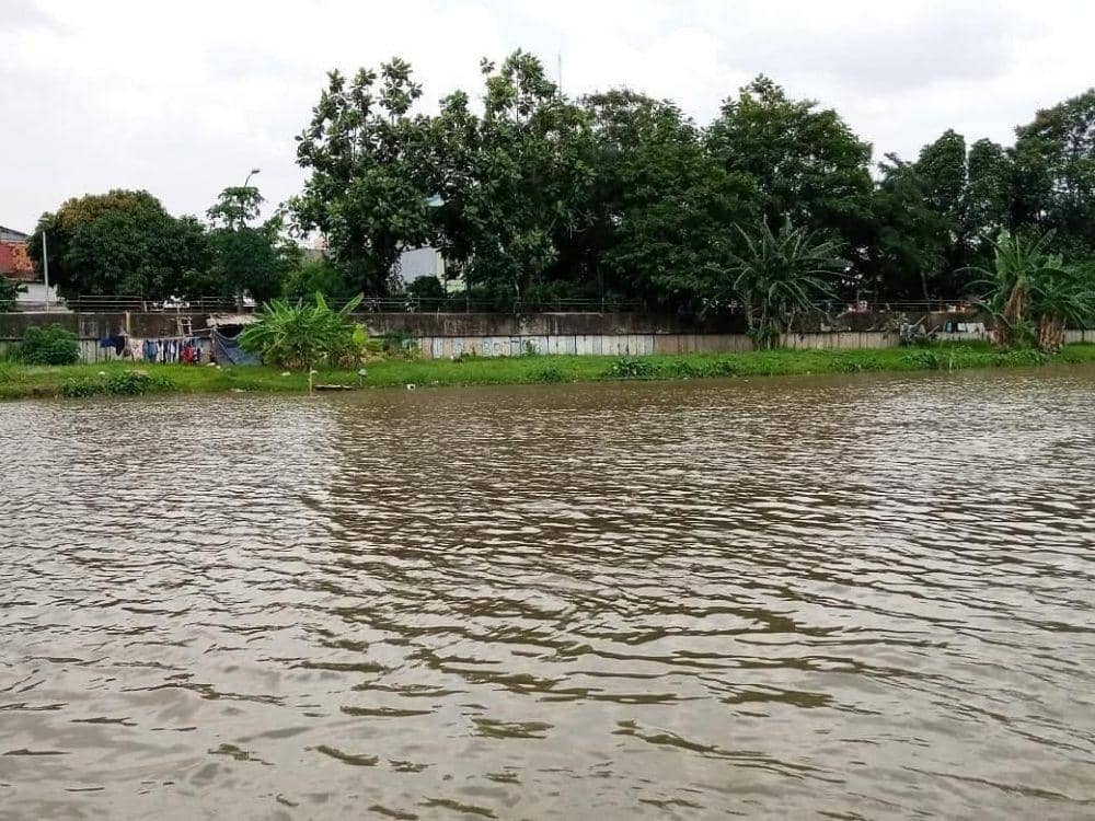 Sungai Cisadane pascatercemar zat kimia pestisida. 