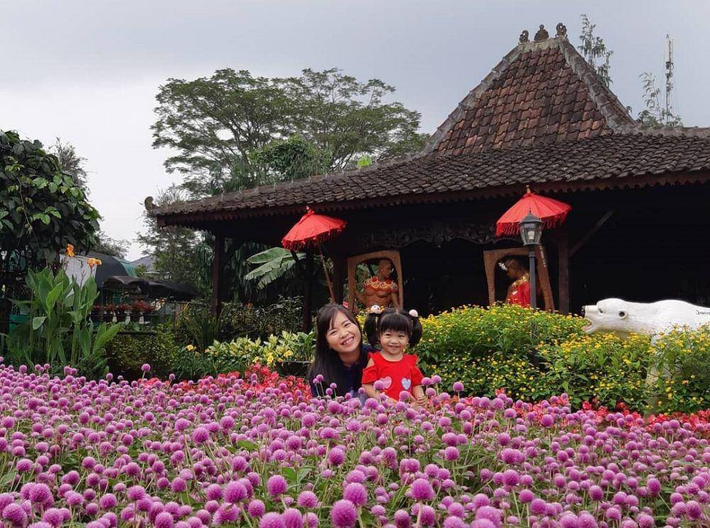 Kebun Bunga Begonia (instagram.com/helen_leez)