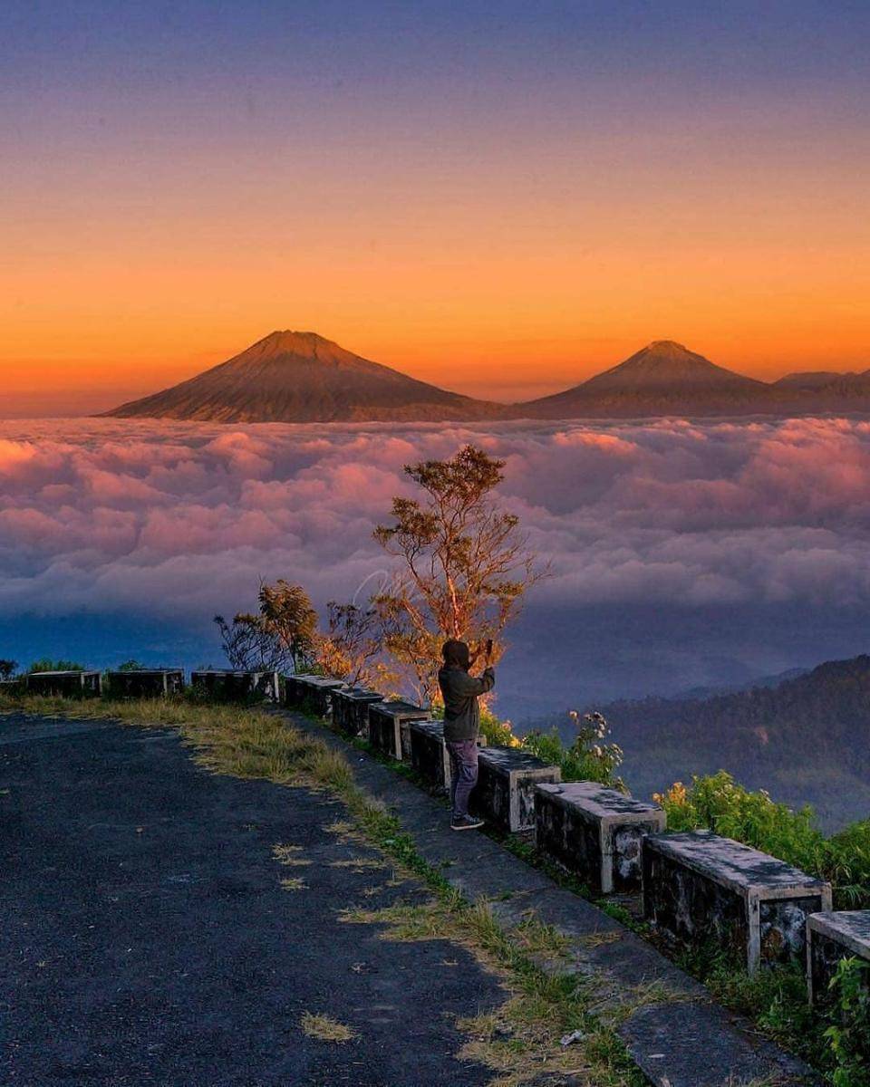 instagram.com/mad_scape