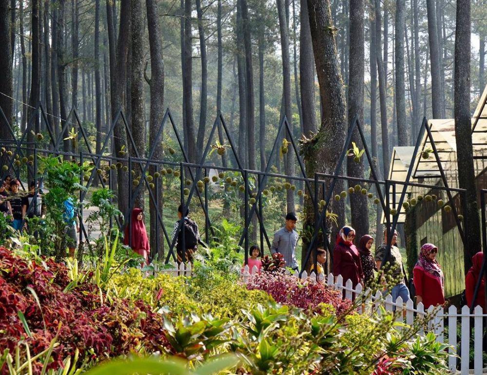 5 Wisata Outdoor di Bandung yang Asyik untuk Liburan Keluarga
