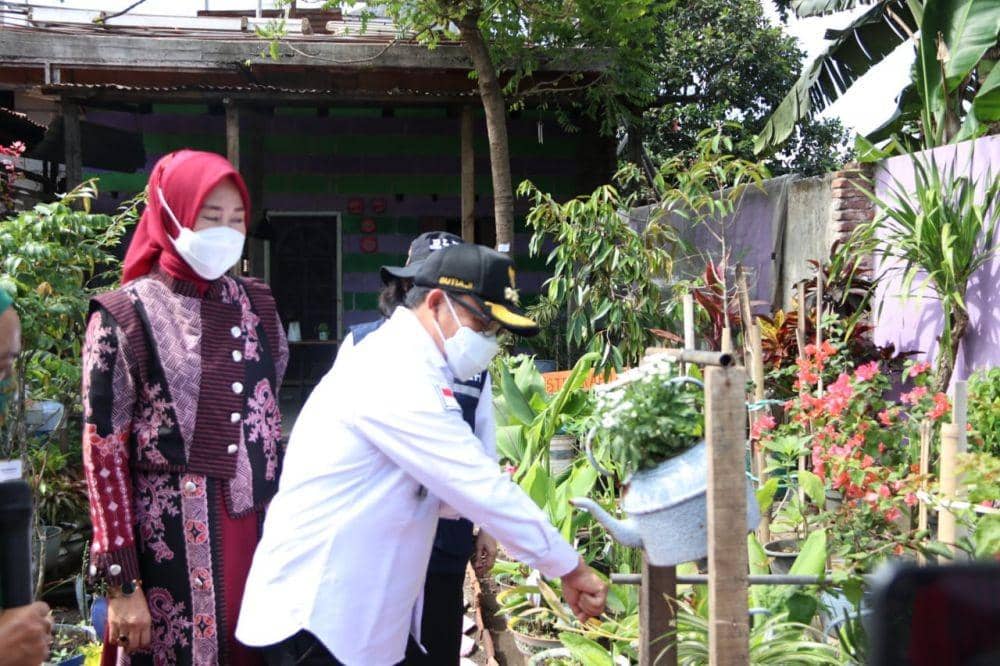 Jaga Ketahanan Pangan Saat Pandemik, Malang Dorong Pertanian Kota