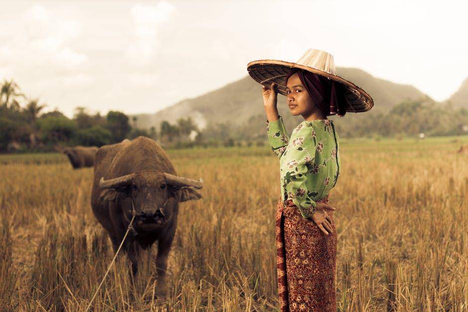 pexels.com/Ihsan Aditya